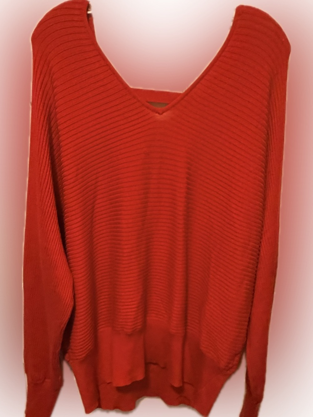 Pinque Design Studio Sweater nwot